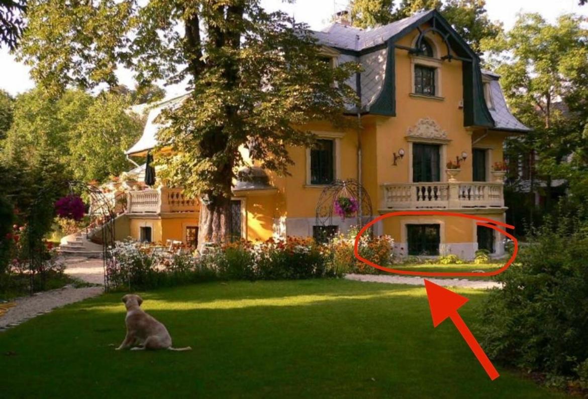 Buda Hills Villa Apartment Budapest Esterno foto
